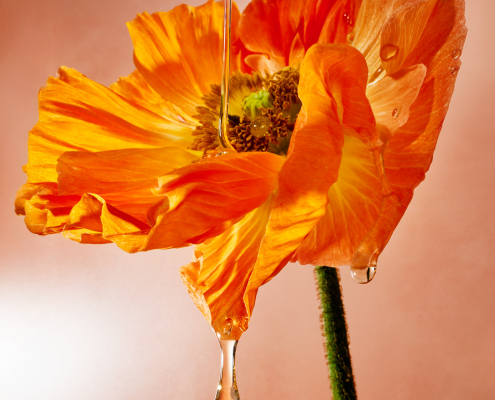 Cosmetic-still life_Gisou_Macro_1